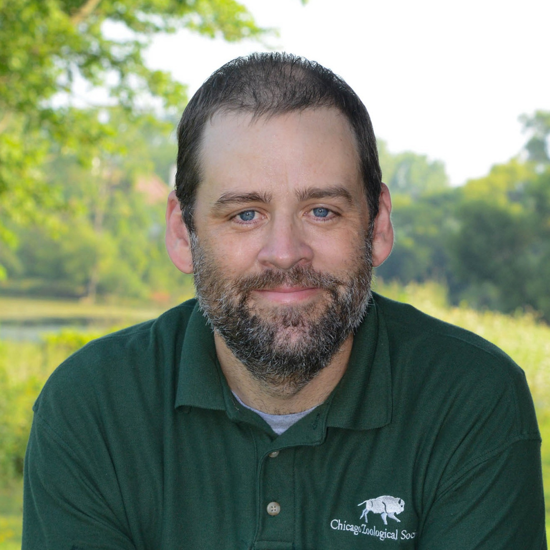 Featured image for “Matt Allender”